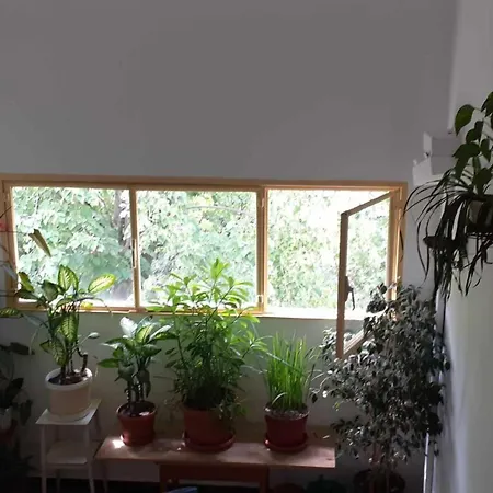 Cazare La 5 Minute De 2 Statii Metrou Appartement
